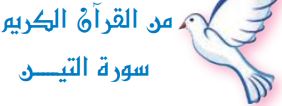من القرآن الكريم (سورة التين)